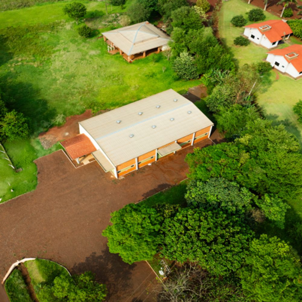 DJI_0302-1
