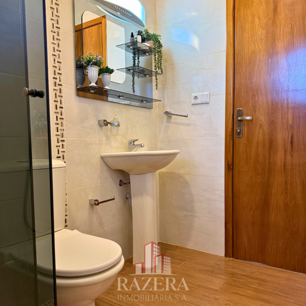 Razera flyer .zip - 72