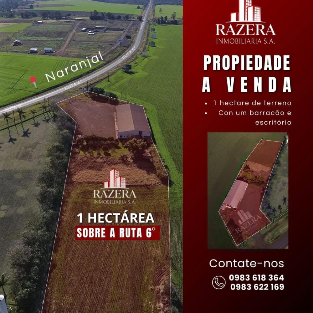 WhatsApp Image 2026-01-22 at 08.33.10